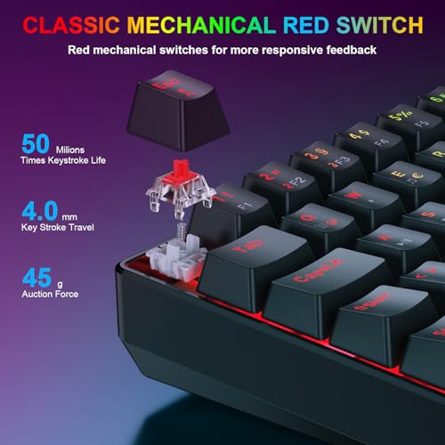 Gaming Tastatur und Maus Set, 60% QWERTZ Layout Mini Mechanische Tastatur mit RGB Beleuchtete, Red Switches, USB-C Kabelgebunden, 4 Farben LED Gaming Maus, Kompaktes Set für PC Mac Xbox PS5 Bild 3
