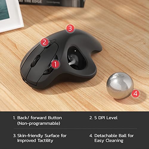 Nulea M501 Trackball Ergonomisch Wiederaufladbar Daumenbedient Präzise 3 Geräte via Bluetooth/USB für PC/Laptop/Mac/Windows (Bright Silver) Bild 7