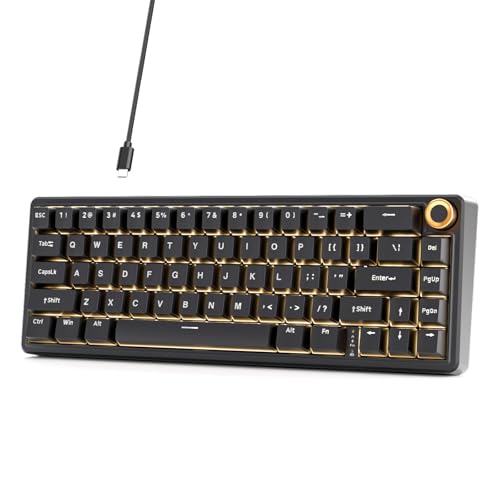 Dierya DK68E Gaming Tastatur,60% Prozent Gasket Mechanische Tastatur mit Knopf,RGB Hot Swap Linearer Creamy Switches,Compact 66 Tasten Anti-Ghosting,QWERTY-US Layout (Schwarz, Creamy Switches) Bild 1