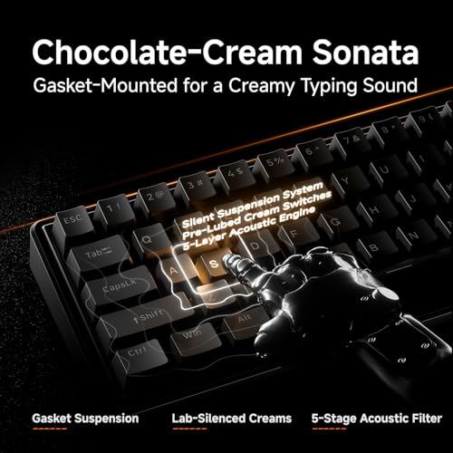 Dierya DK68E Gaming Tastatur,60% Prozent Gasket Mechanische Tastatur mit Knopf,RGB Hot Swap Linearer Creamy Switches,Compact 66 Tasten Anti-Ghosting,QWERTY-US Layout (Schwarz, Creamy Switches) Bild 3