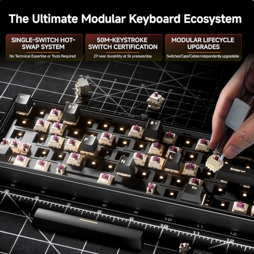 Dierya DK68E Gaming Tastatur,60% Prozent Gasket Mechanische Tastatur mit Knopf,RGB Hot Swap Linearer Creamy Switches,Compact 66 Tasten Anti-Ghosting,QWERTY-US Layout (Schwarz, Creamy Switches) Bild 4