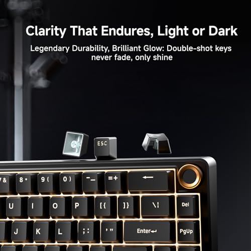 Dierya DK68E Gaming Tastatur,60% Prozent Gasket Mechanische Tastatur mit Knopf,RGB Hot Swap Linearer Creamy Switches,Compact 66 Tasten Anti-Ghosting,QWERTY-US Layout (Schwarz, Creamy Switches) Bild 5