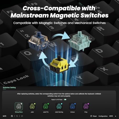 MONSGEEK M1 V5 TMR Gaming Tastatur, QWERTZ-Layout, 8.000 Hz Abtastrate, RT0.01mm 2,4 GHz kabellos/Bluetooth 5.0/USB-C kabelgebunden, Aluminiumtastatur (Schwarz & Silber, AstroAim Magnetschalter) Bild 2