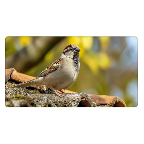 Gaming Mauspad, 100x200cmx3mm GroßEs Mousepad,wasserdichte Gewebe, Rutschfester Gummiunterseite, BüRobedarf, Verbesserte PräZision Und Geschwindigkeit, Vogel Dach JX2B-515 Bild 2
