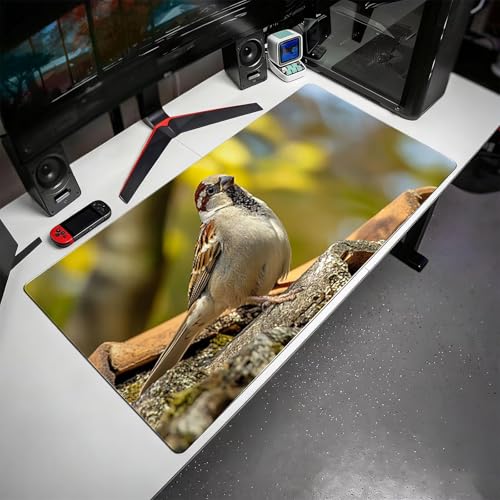 Gaming Mauspad, 100x200cmx3mm GroßEs Mousepad,wasserdichte Gewebe, Rutschfester Gummiunterseite, BüRobedarf, Verbesserte PräZision Und Geschwindigkeit, Vogel Dach JX2B-515 Bild 3