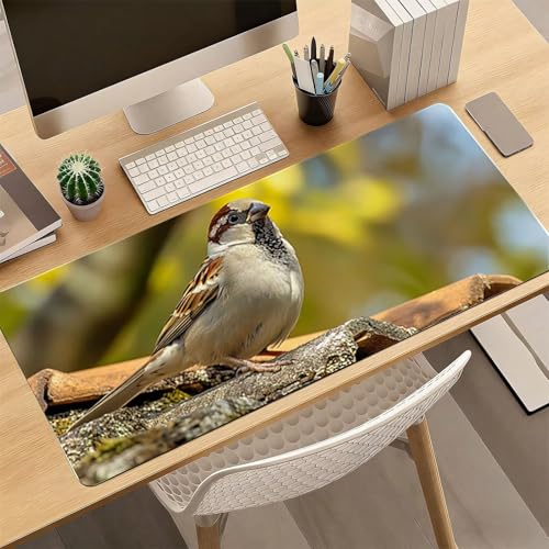 Gaming Mauspad, 100x200cmx3mm GroßEs Mousepad,wasserdichte Gewebe, Rutschfester Gummiunterseite, BüRobedarf, Verbesserte PräZision Und Geschwindigkeit, Vogel Dach JX2B-515 Bild 4
