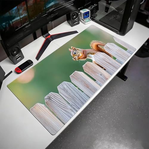 Gaming Mauspad, 100x200cmx3mm GroßEs Mousepad,wasserdichte Gewebe, Rutschfester Gummiunterseite, BüRobedarf, Verbesserte PräZision Und Geschwindigkeit, EichhöRnchen Tiere JX2B-645 Bild 3