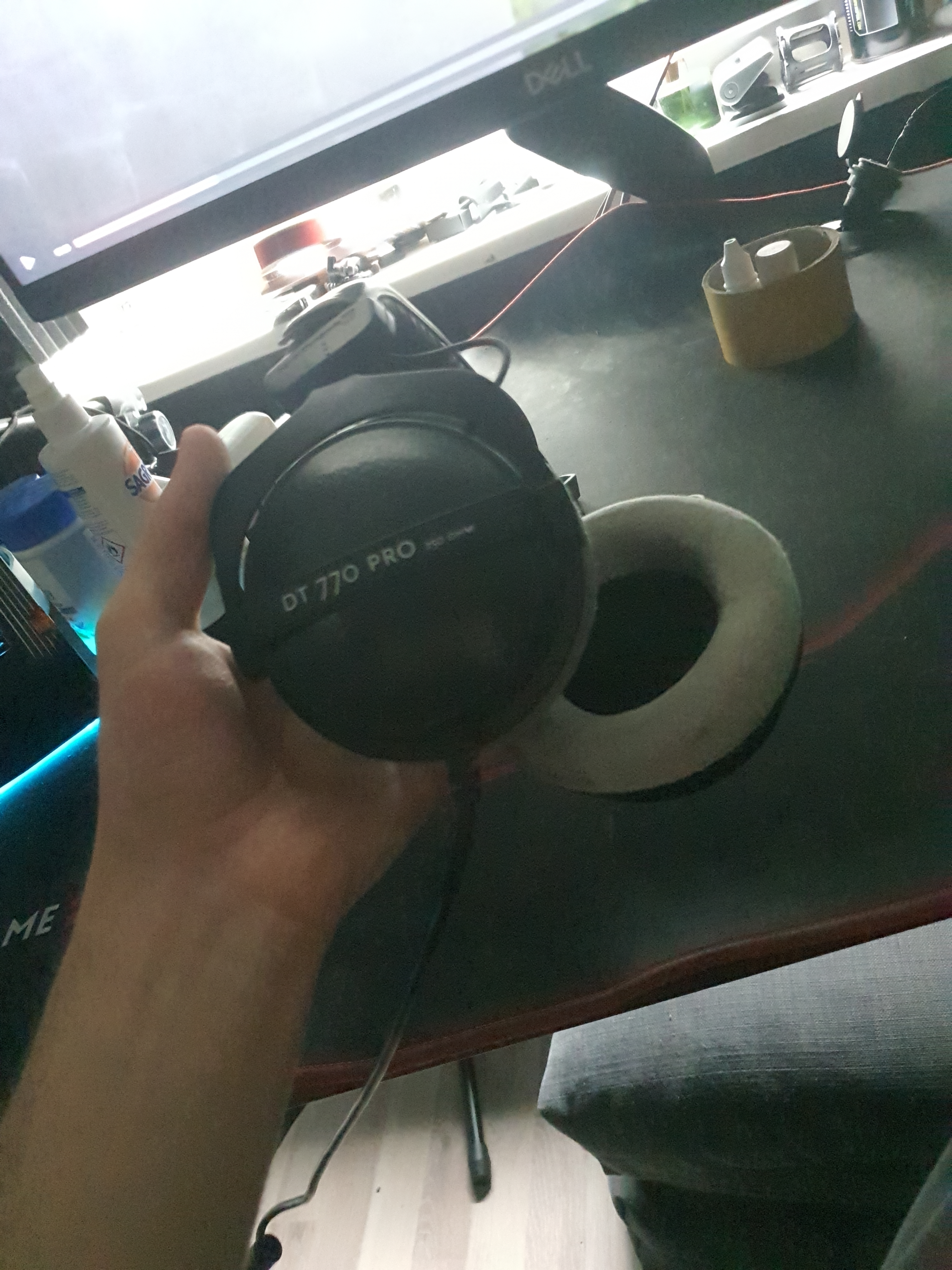 Jozef_fox Foto