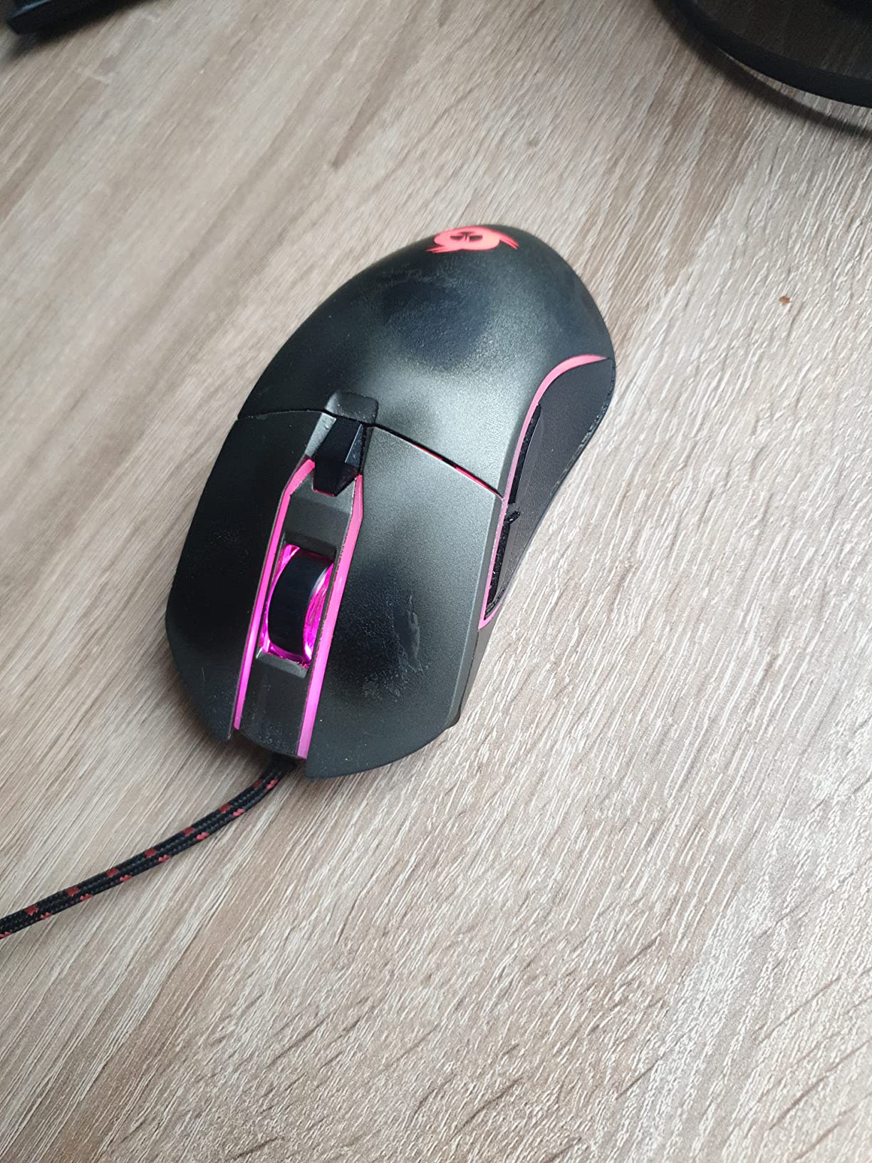 Dominik Foto