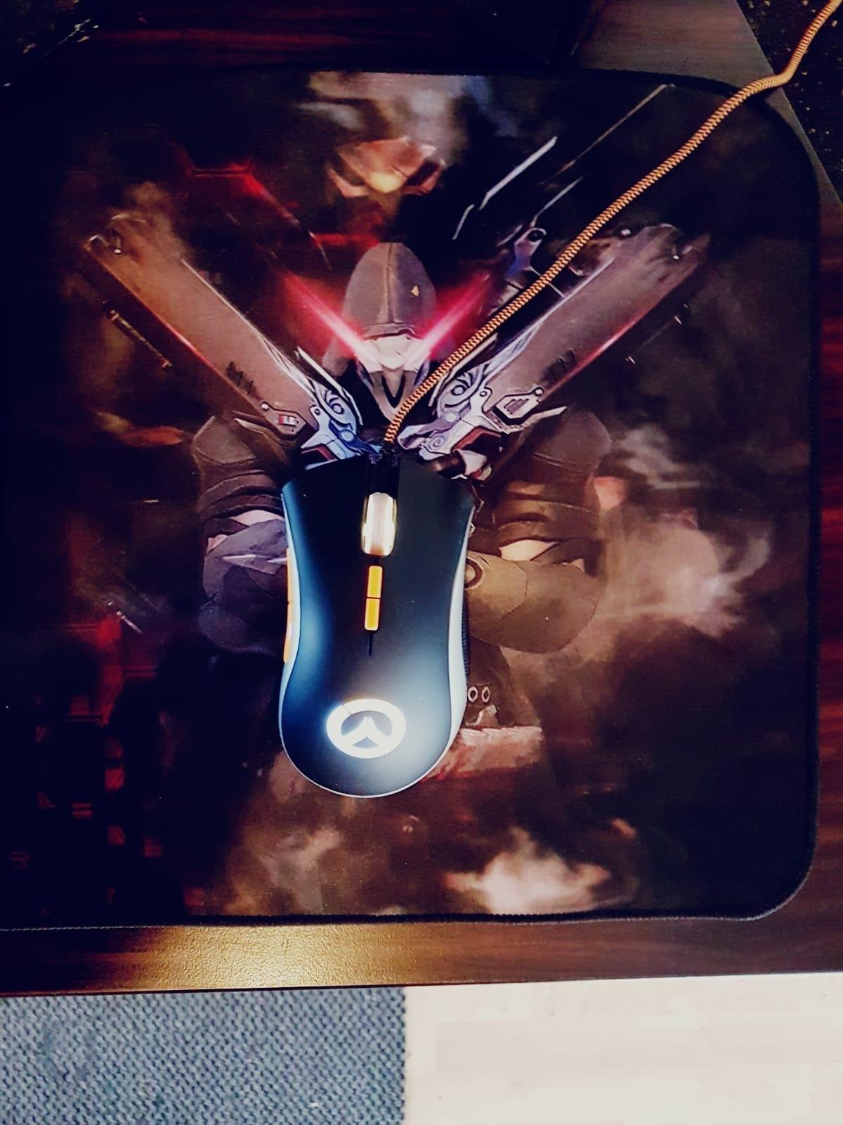 Zaubermaus Foto