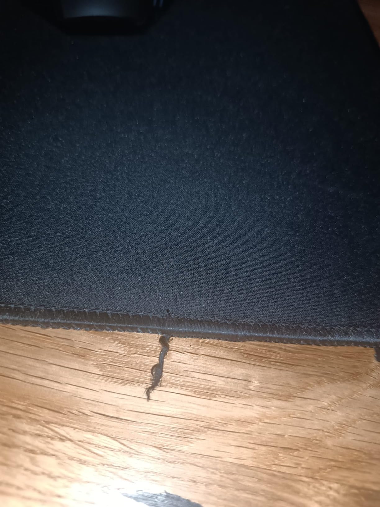 Nervtötend Foto