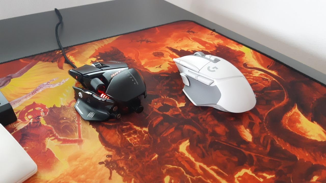 Killer Gnome Foto
