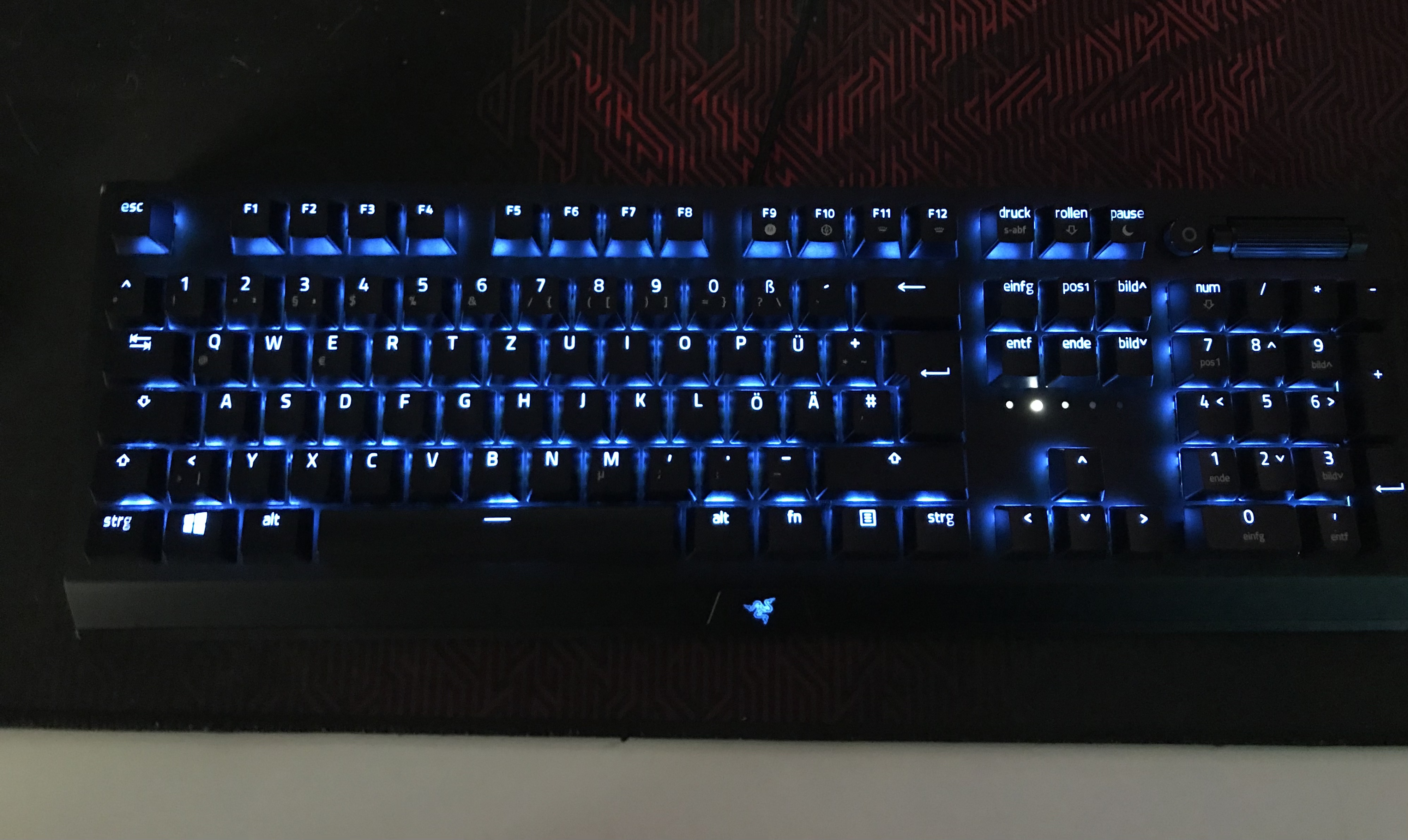 Domino Foto