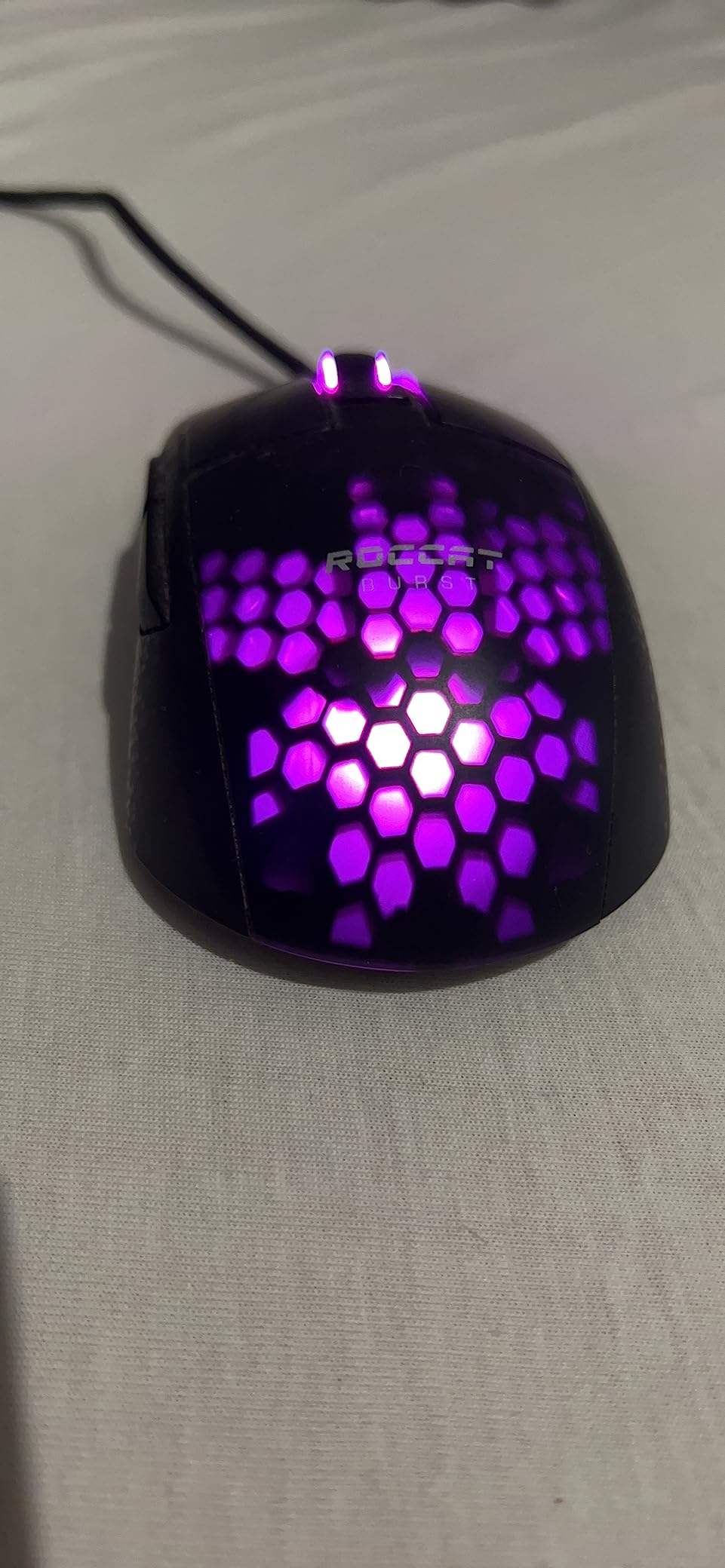 tcq Foto