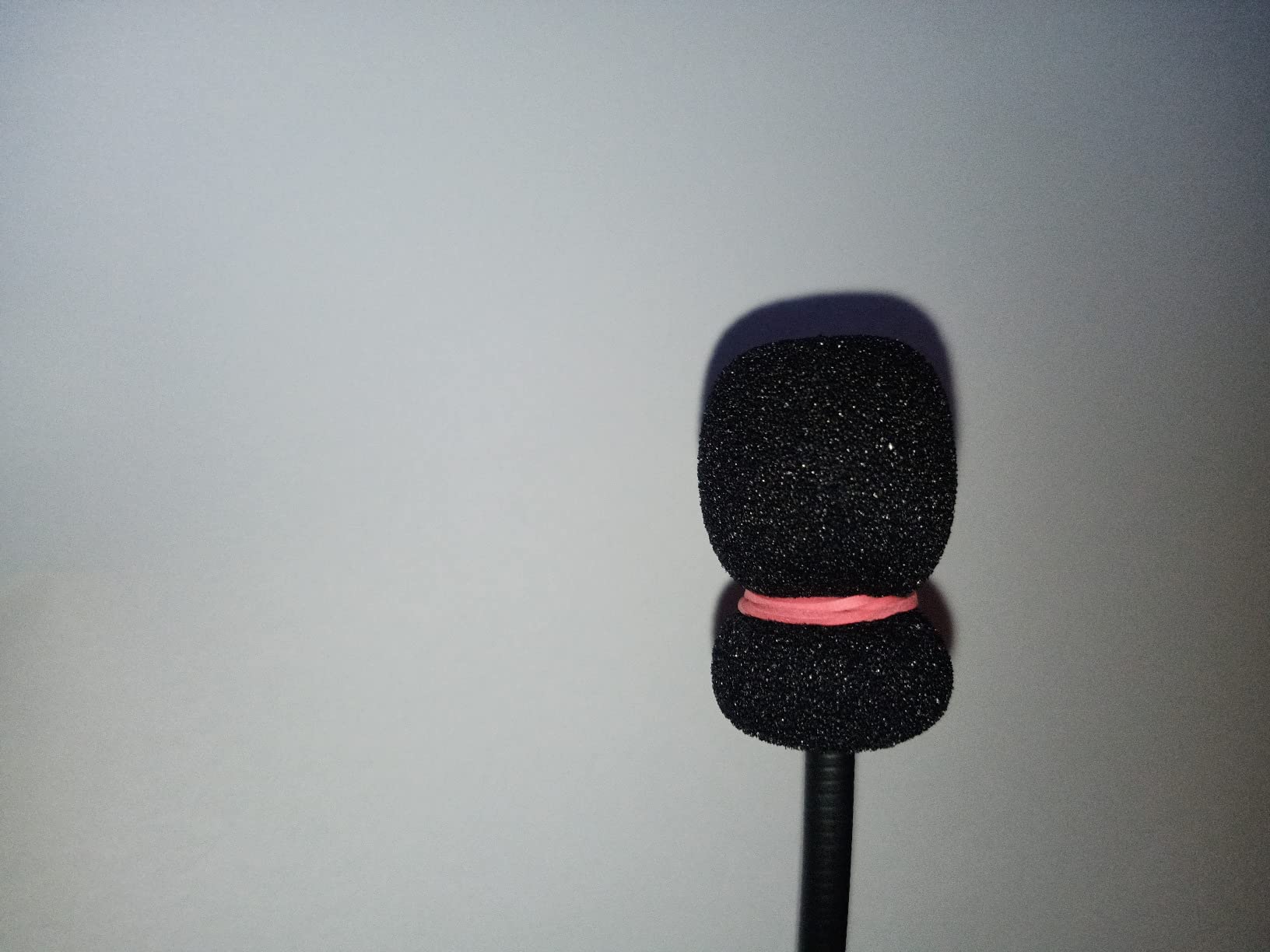 Manbeerpig Foto
