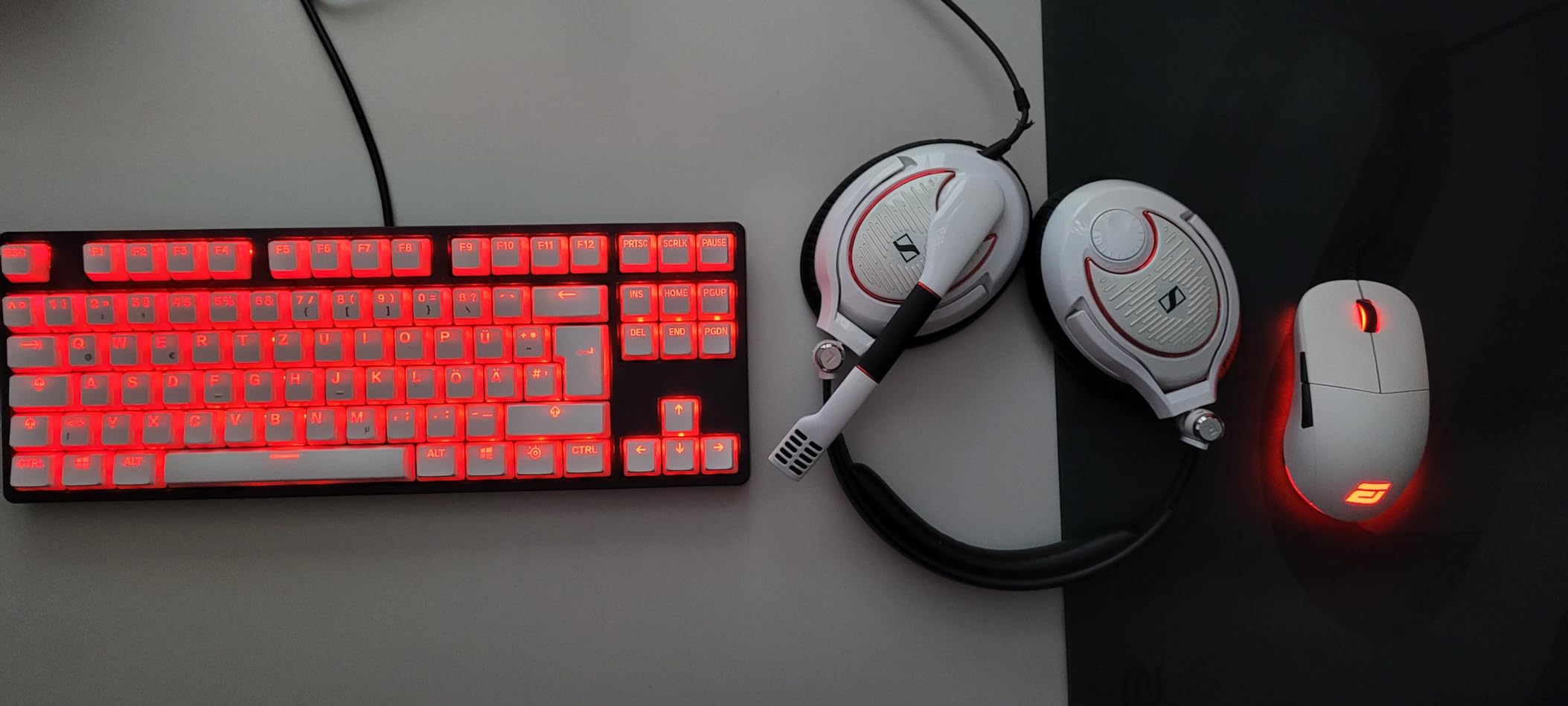 Taru Foto