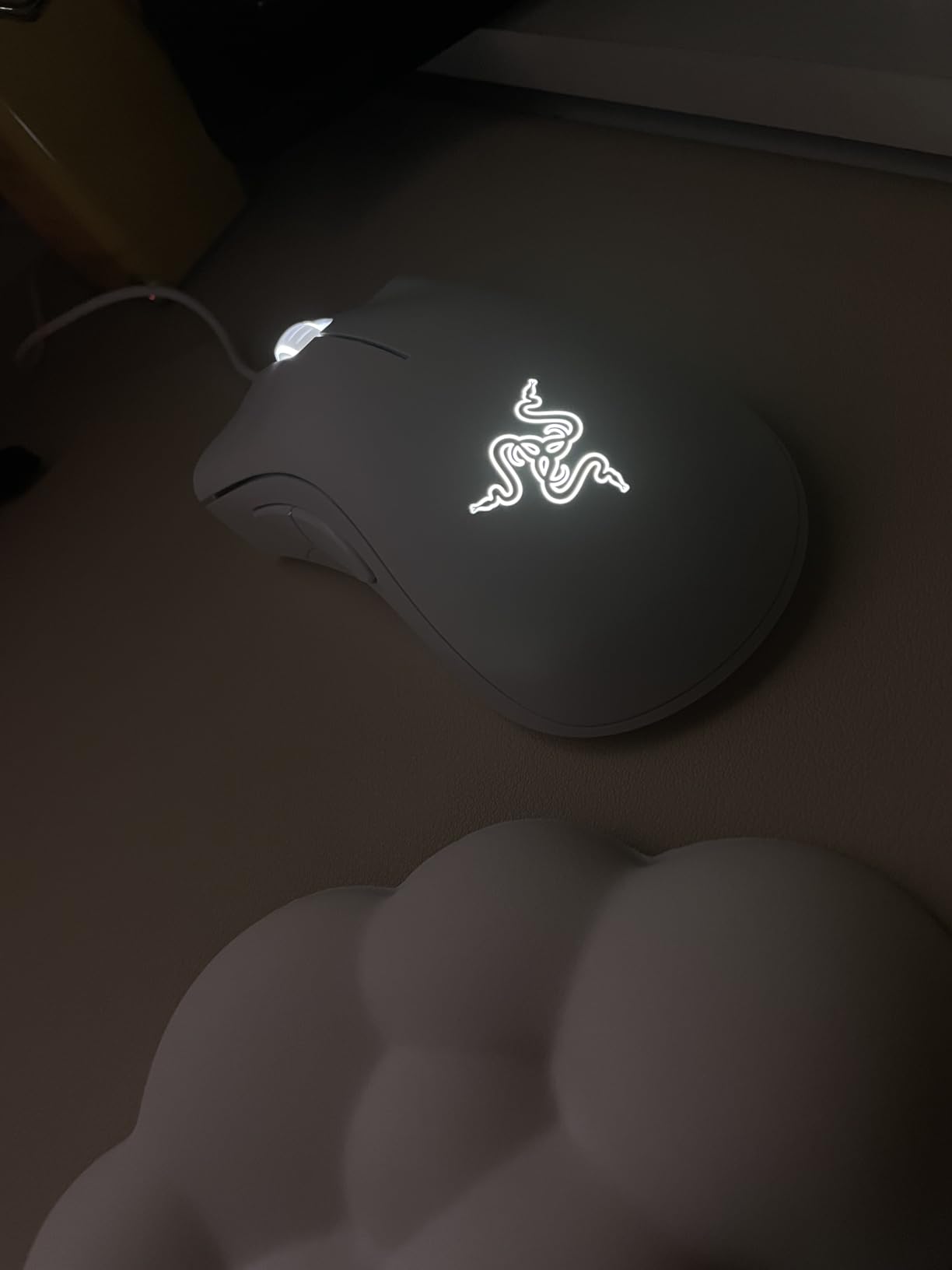 andzela Foto