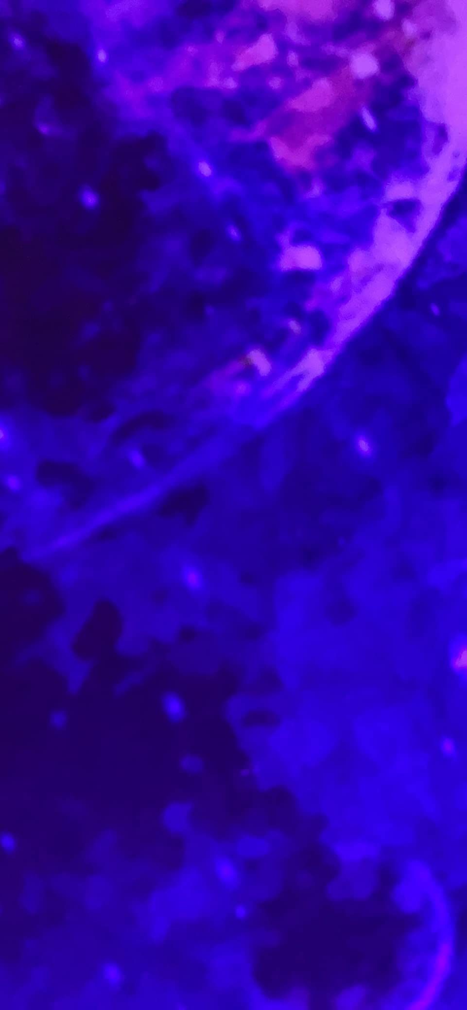 Ma Foto
