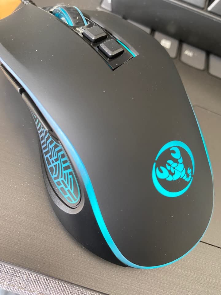 4Rabbitsz Foto