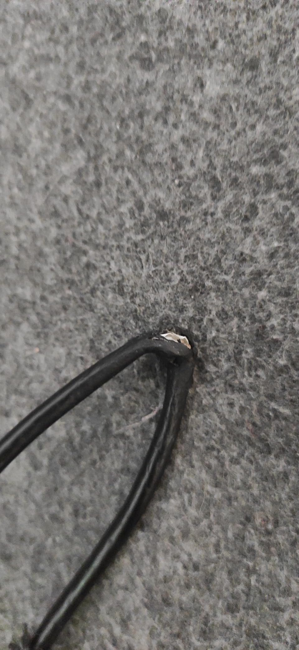 Tetiana Foto