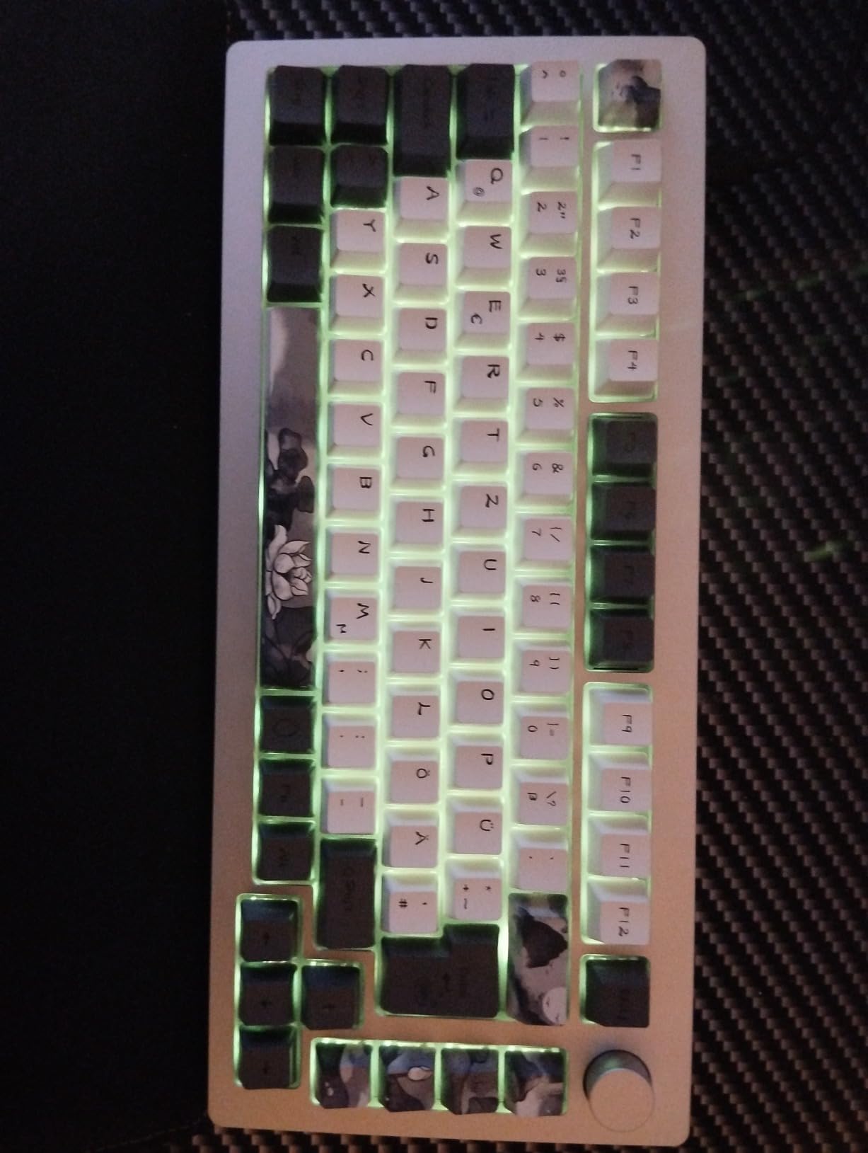 Viti Foto