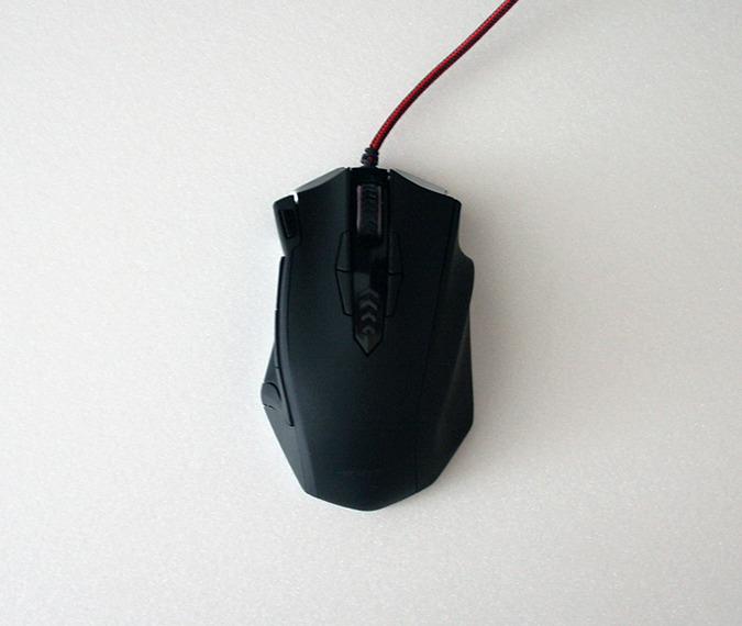 ZYX7 Foto