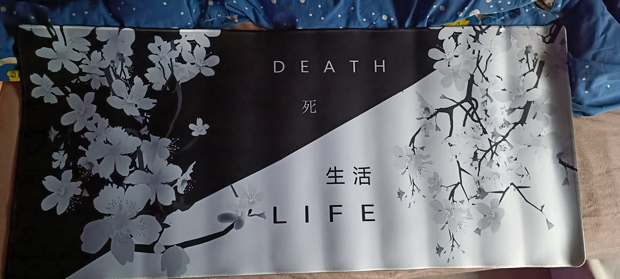 Ainz Foto