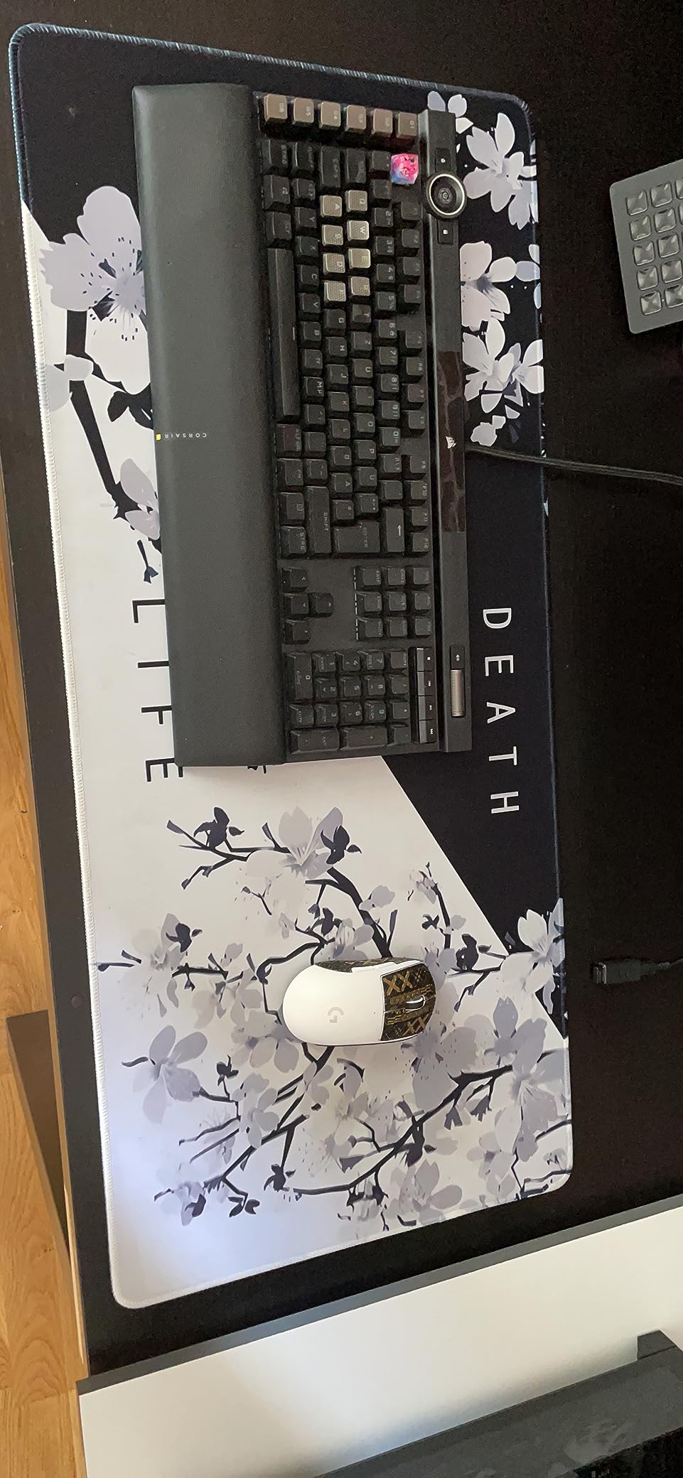CyberBadger Foto