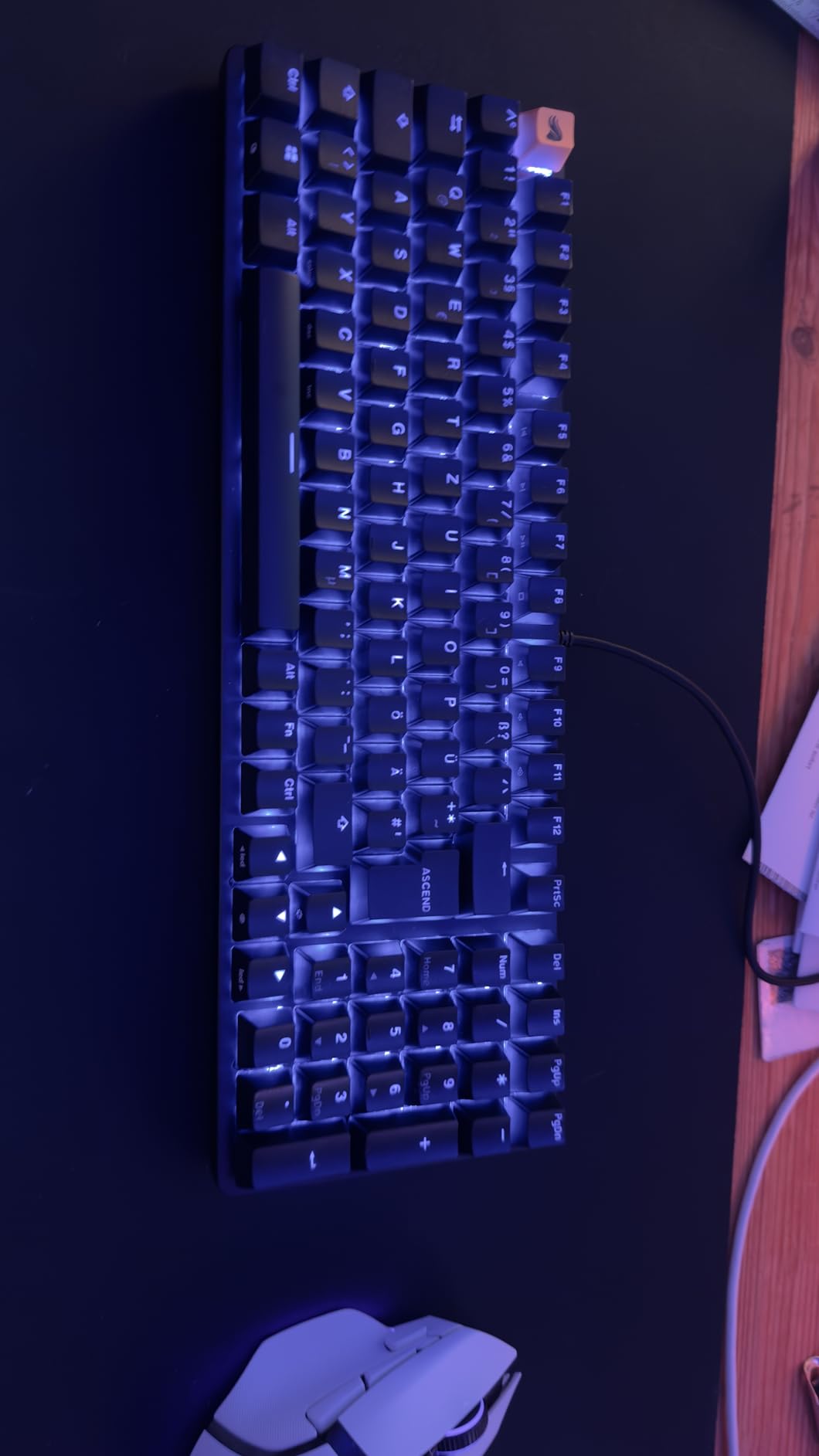 Alias-the-Necro Foto