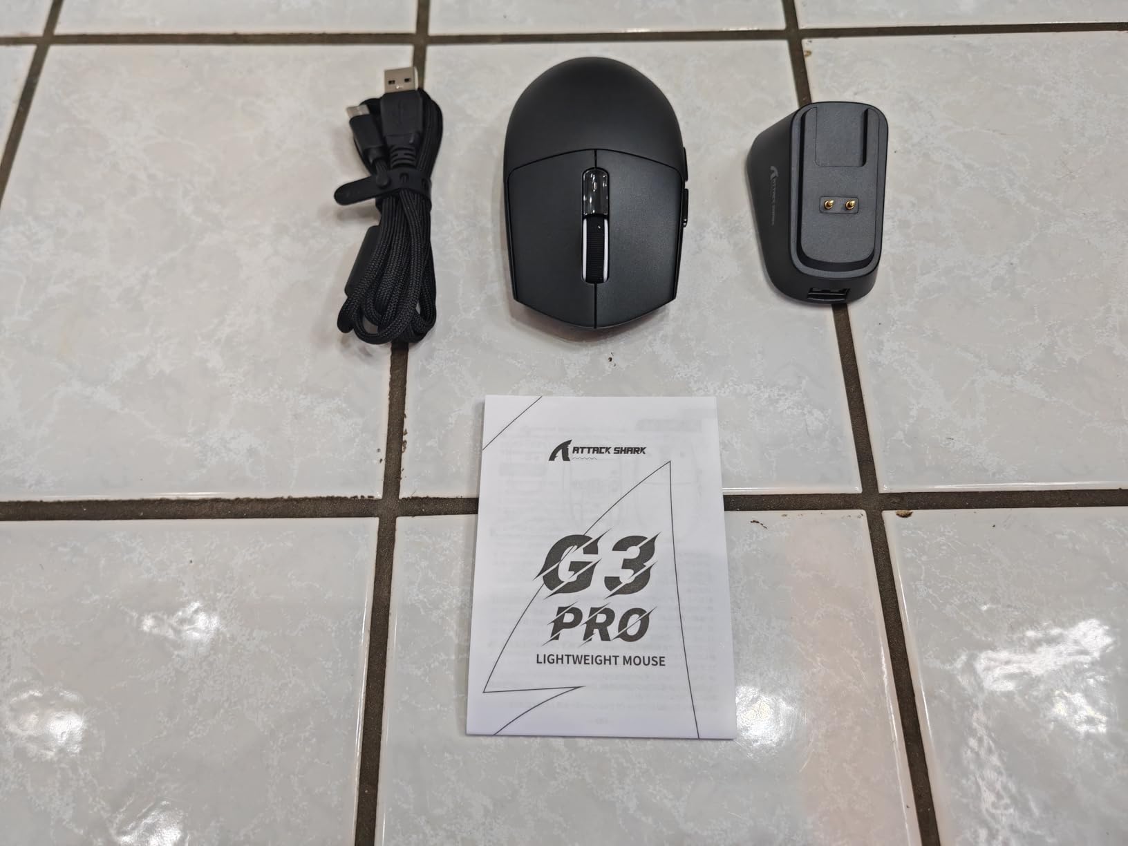 Amazona Aestiva Foto